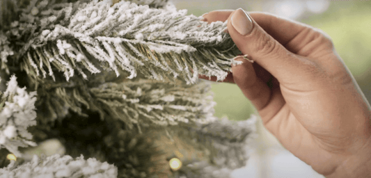 How to Care for A Flocked King of Christmas Tree