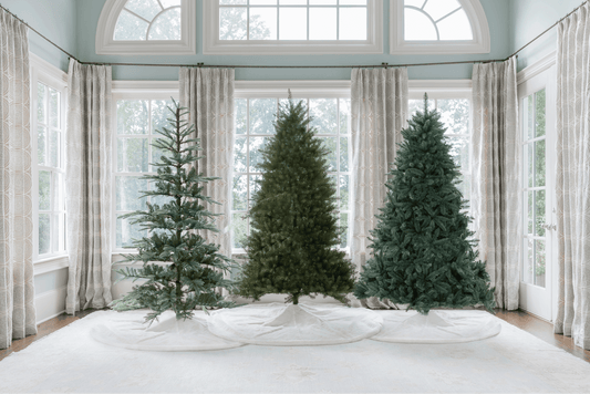 Different Types of Secondary King of Christmas Trees You Need in Your Home