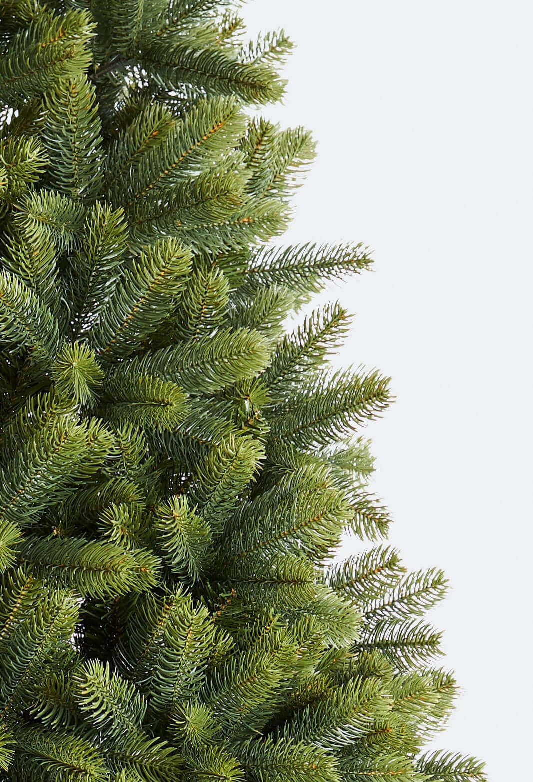 King of Christmas Tree Tips: Classic vs. Realistic