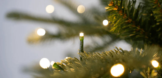 Maintaining Your King of Christmas LED Tree Lights