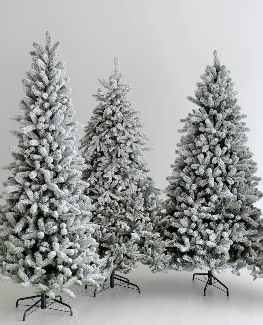 Which Size King of Christmas Tree (Width & Height) is a Good Fit for You?