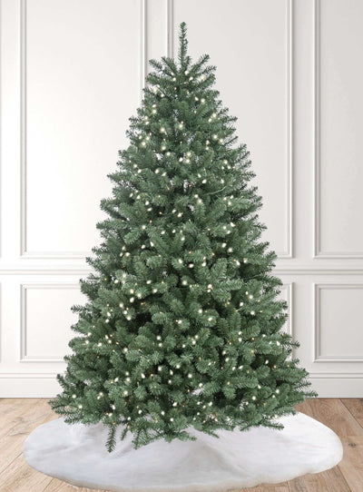 King of Christmas 6' Hancock Spruce Artificial Christmas Tree 300 Warm White Led Lights