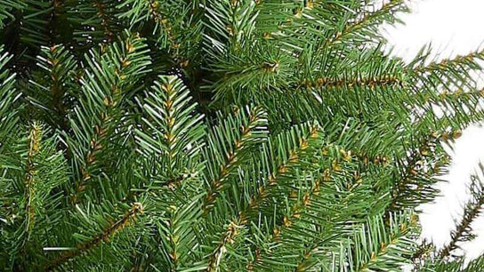 closeup of artificial christmas tree branches