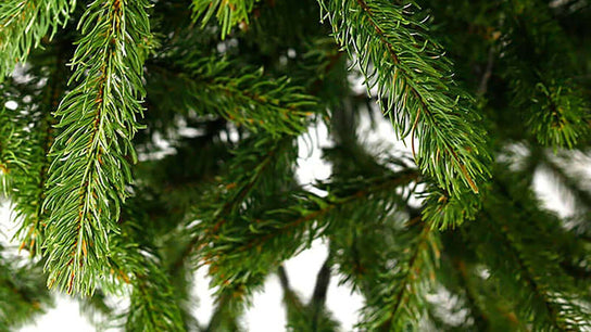 closeup of artificial christmas tree branches