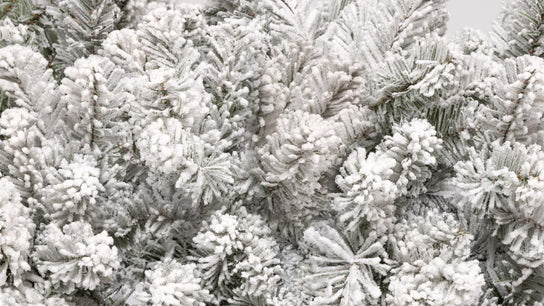 King of Christmas Flocked Tree closeup of branches