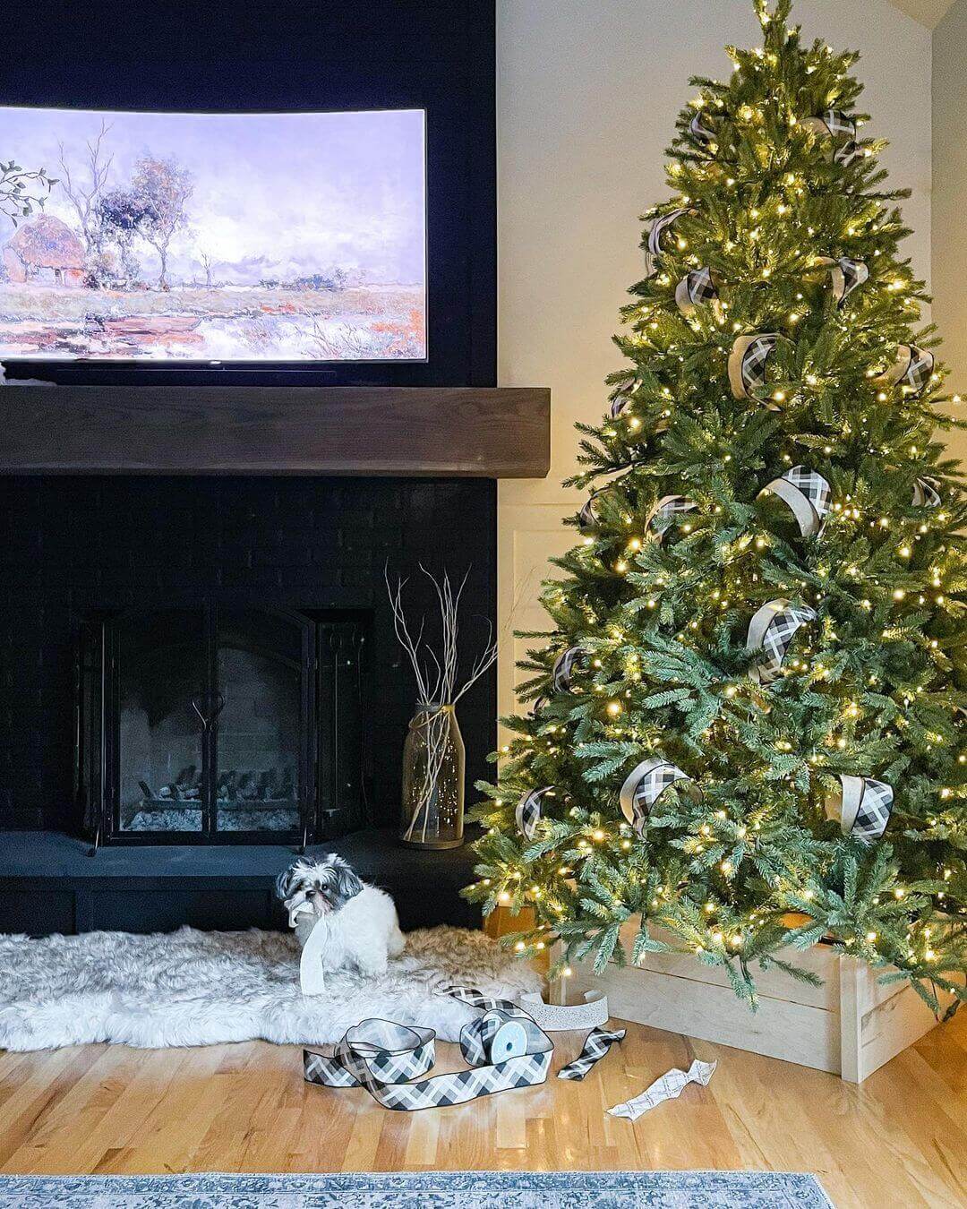 The Dynamic Fraser One Plug RGBWW LED Slender Tree, is a hassle-free and  beautifully crafted Christmas Tree that changes colors and patterns with a  simple remote control. This 10ft tree features 3774